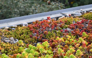 the cost of Moreton green roof installation