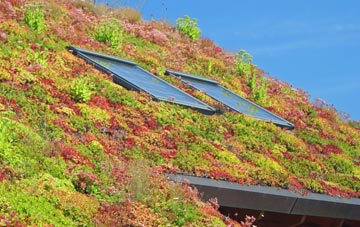 Moreton living roof systems